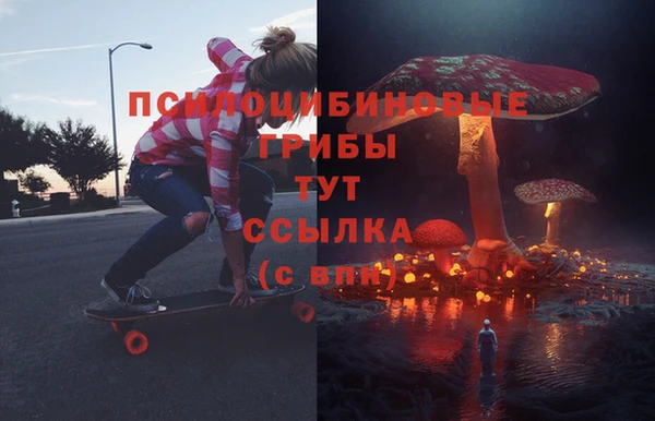 соль ск Алзамай