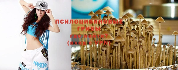 соль ск Алзамай