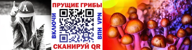 Галлюциногенные грибы Psilocybe  Камбарка 